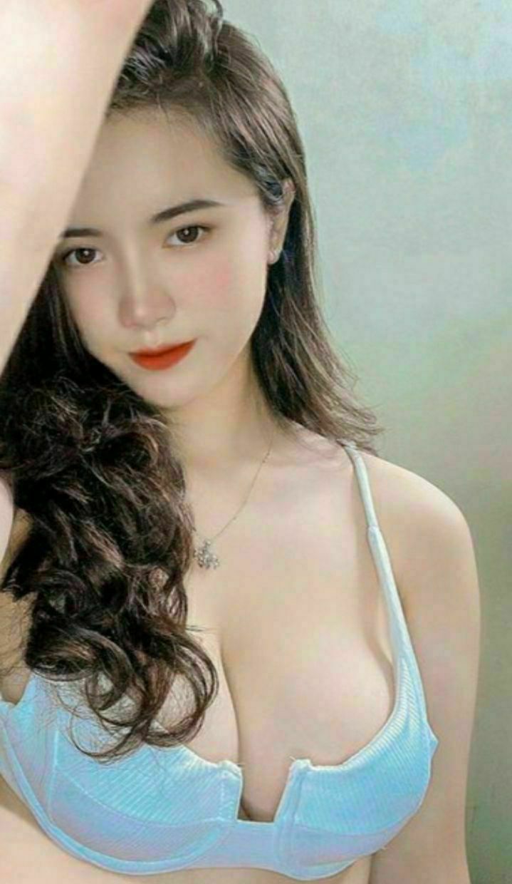 重点色英国短毛猫🔞⭕❌❌🥵歌词让我狠狠爱你